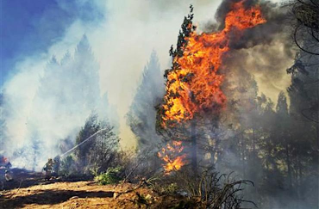 Incendi Amazzonia: vescovi boliviani, “maggiori sforzi dal Governo, danni irreparabili”. Avviata una colletta, domenica una preghiera nazionale Incendi Amazzonia: vescovi boliviani, “maggiori sforzi dal Governo, danni irreparabili”. Avviata una colletta, domenica una preghiera nazionale